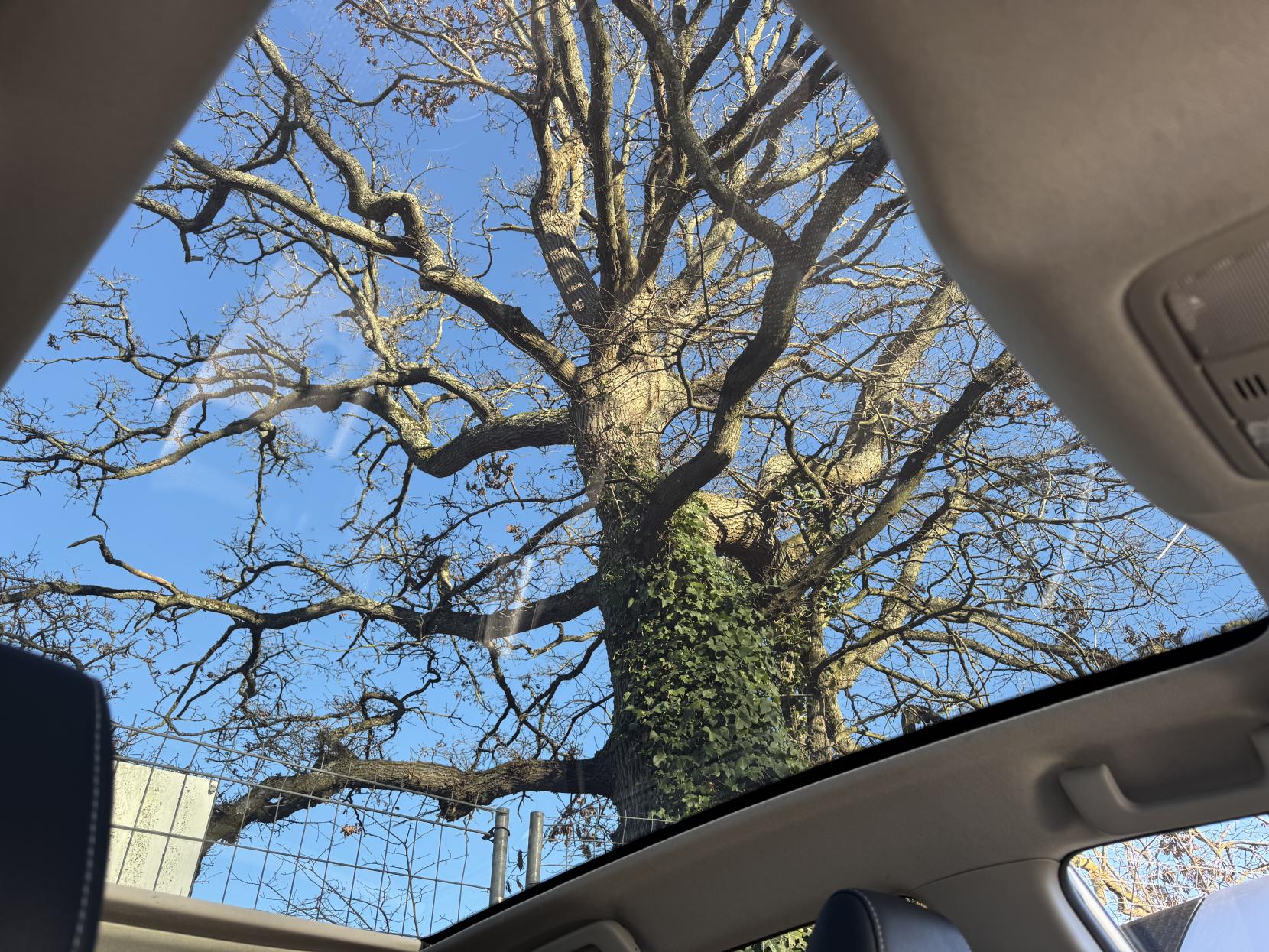 Toyota Auris 1.8 VVT-h Excel Hatchback 5dr Petrol Hybrid CVT Euro 5 (s/s) (136 ps)