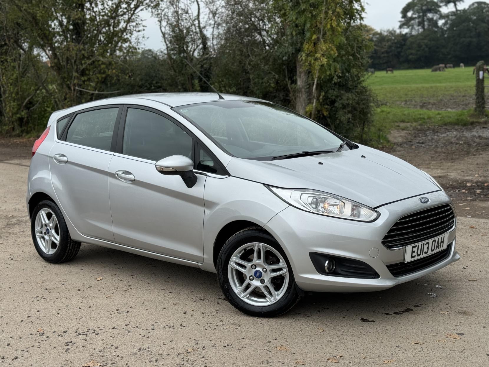 Ford Fiesta 1.25 Zetec Hatchback 5dr Petrol Manual Euro 5 (82 ps)